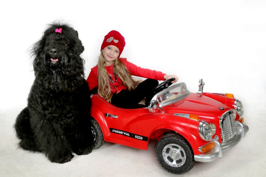 Новогодняя фотосессия 2020