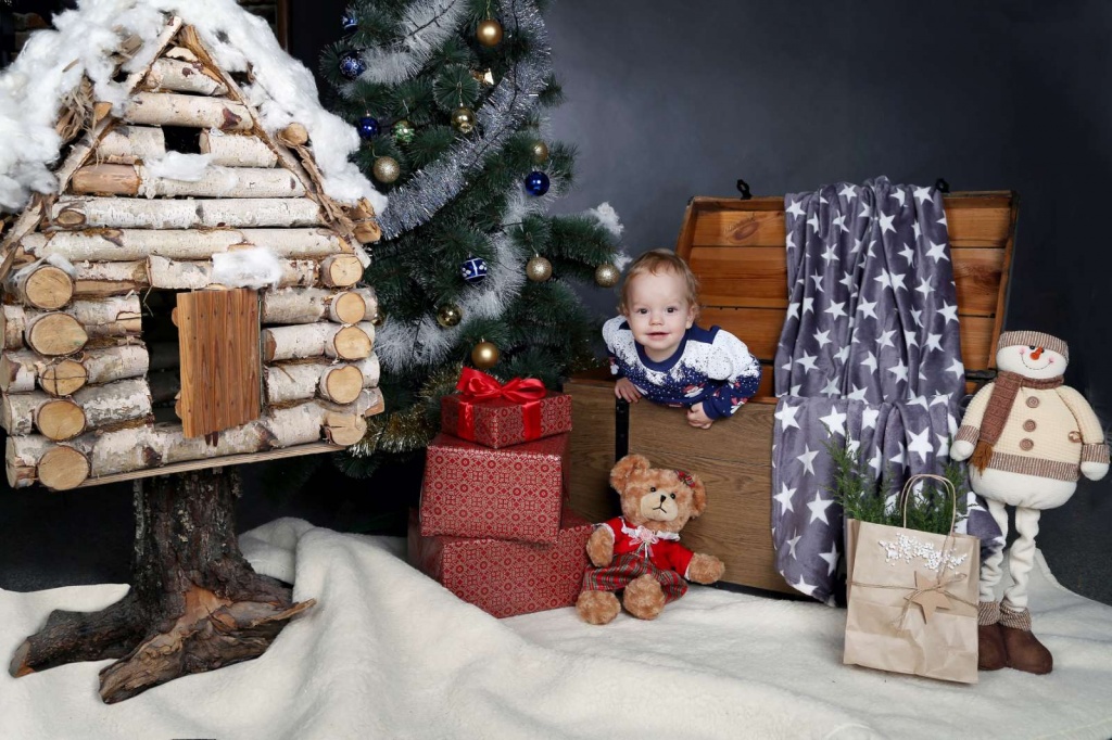 Новогодняя фотосессия 2020